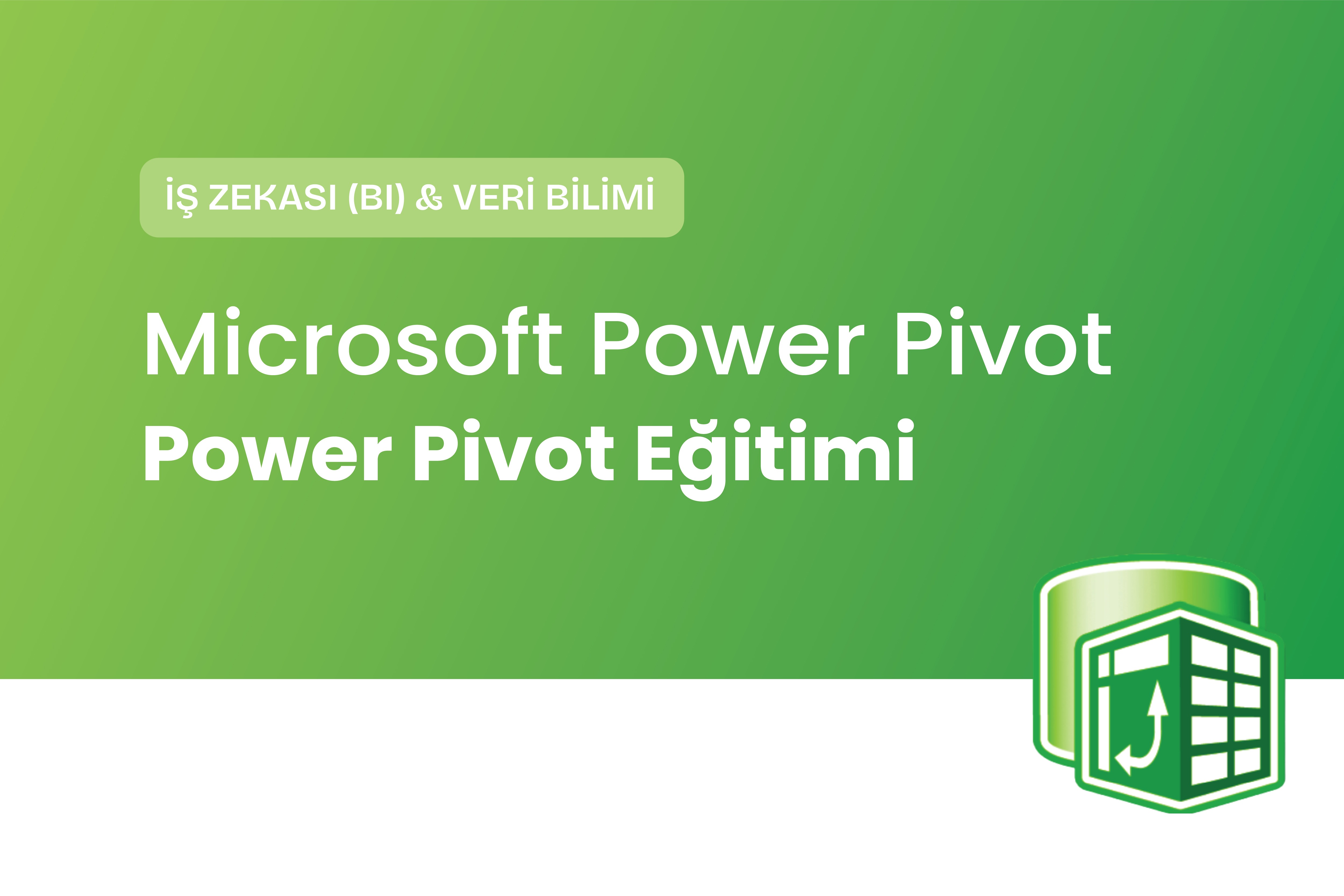 Microsoft Power Pivot Eğitimi
