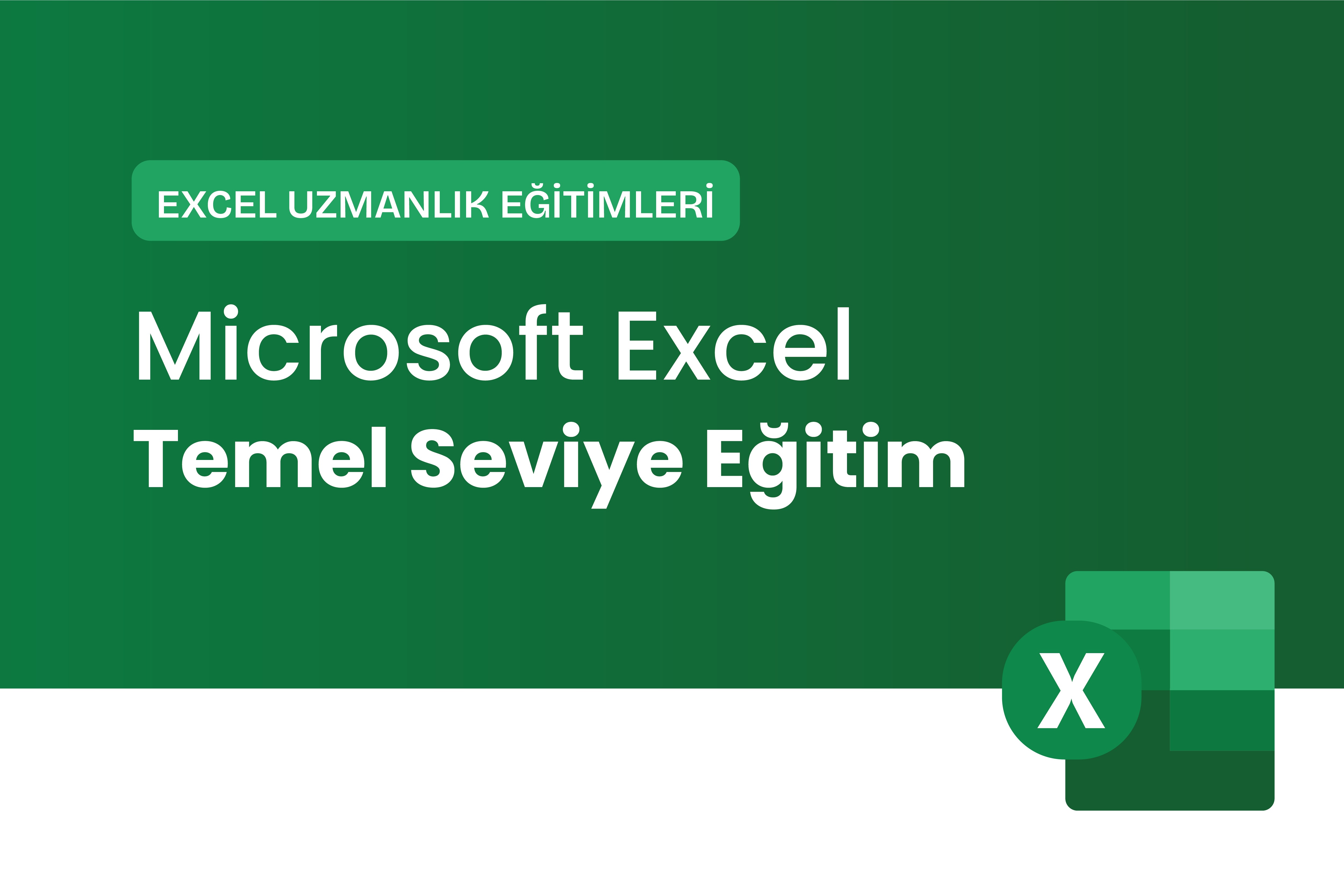 Microsoft Excel Temel Eğitimi