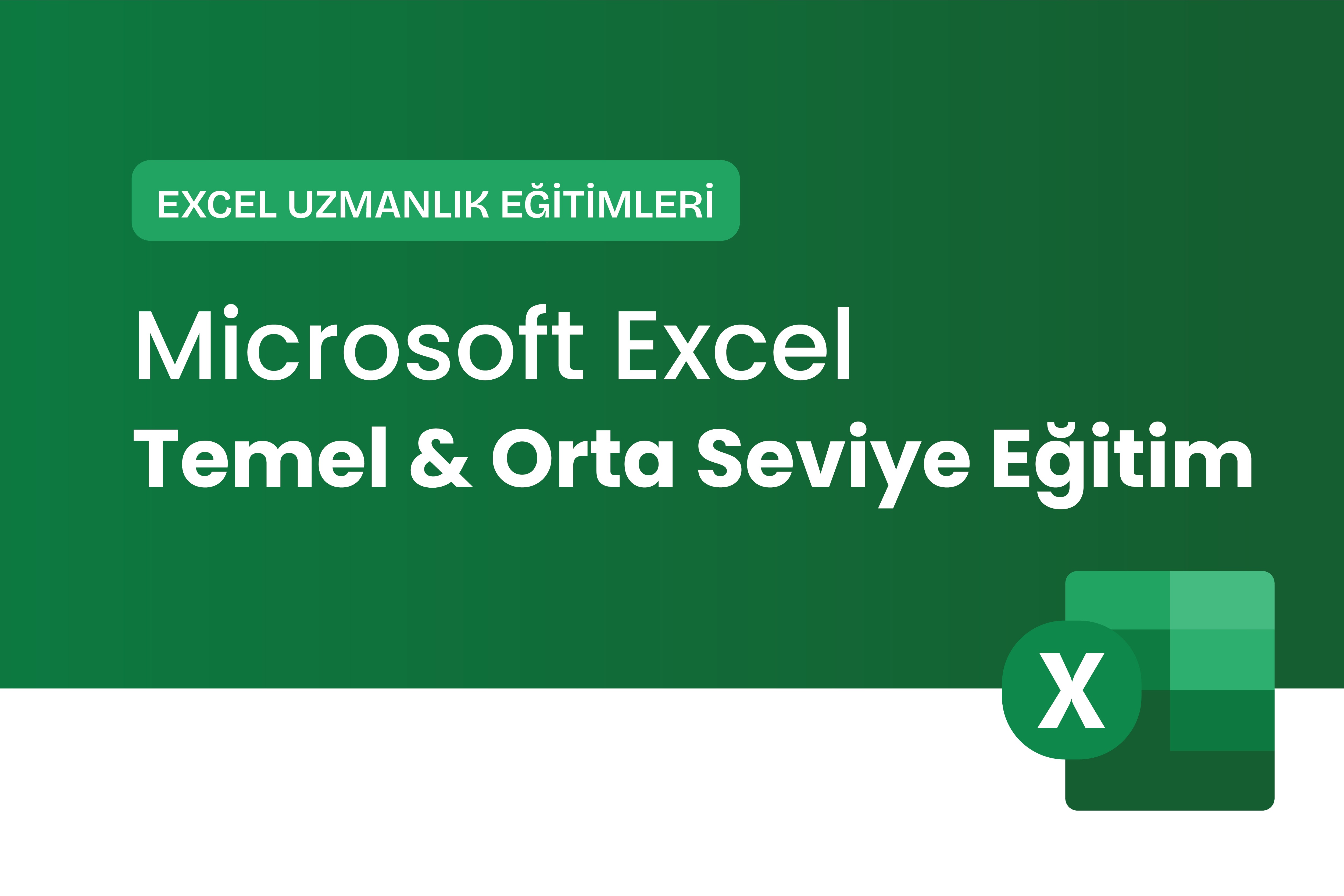 Microsoft Excel Temel & Orta Eğitimi